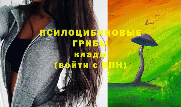 дурь Абаза