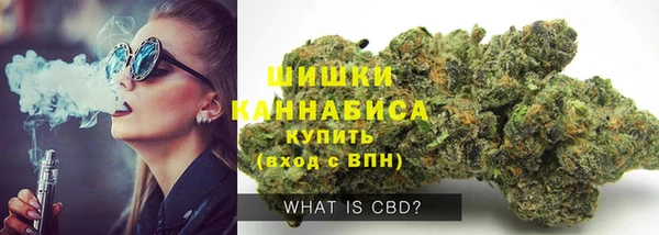 ешки Гусев