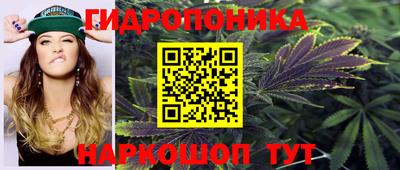 СК Ногинск